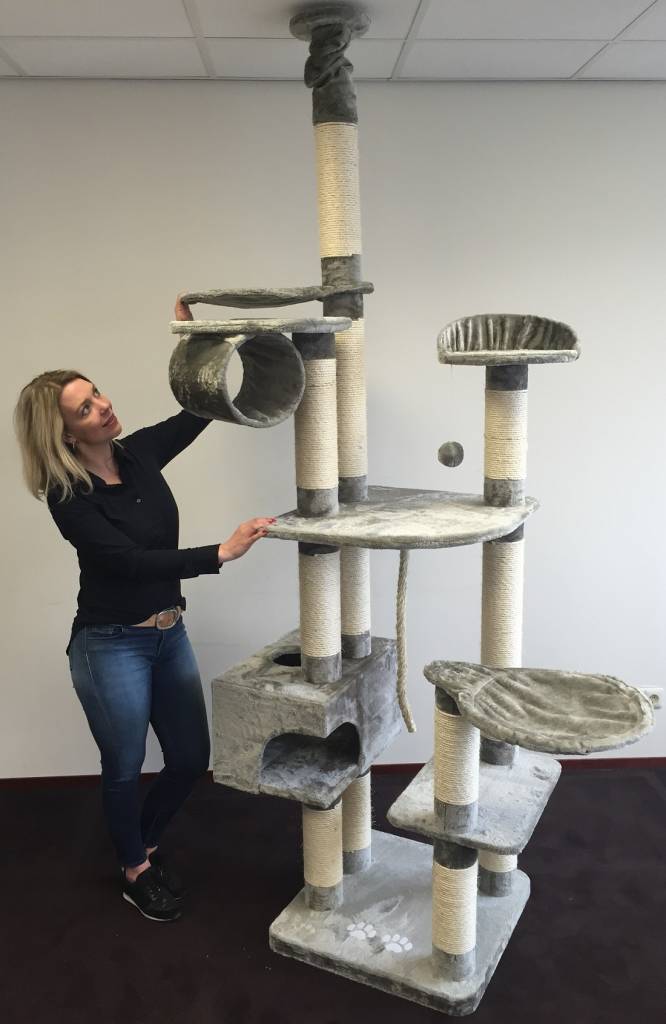 arbre a chat rhrquality